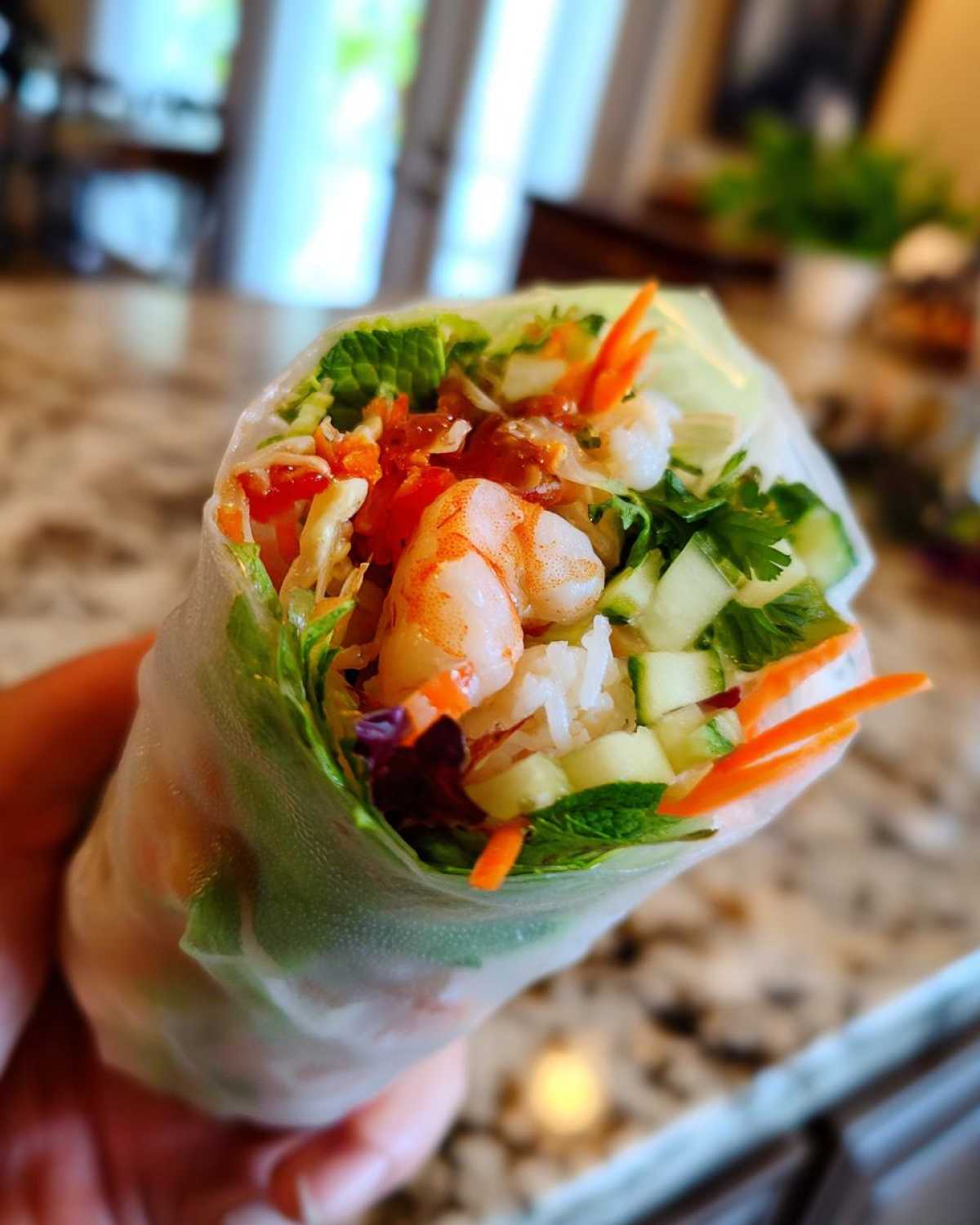Vietnamese Rice Paper Spring Rolls - Other 2
