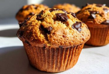 Close-up of a freshly baked classic chocolate chip muffin with visible chocolate chunks.