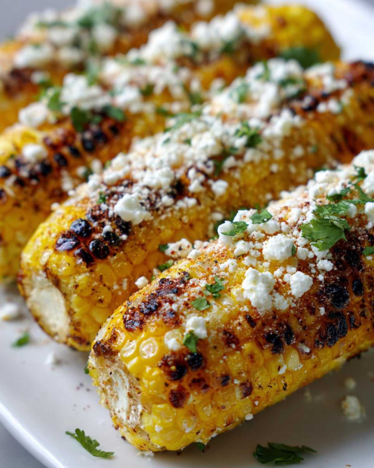 Close-up of grilled elote, corn on the cob, topped with crumbled cheese, chili powder, and fresh cilantro.