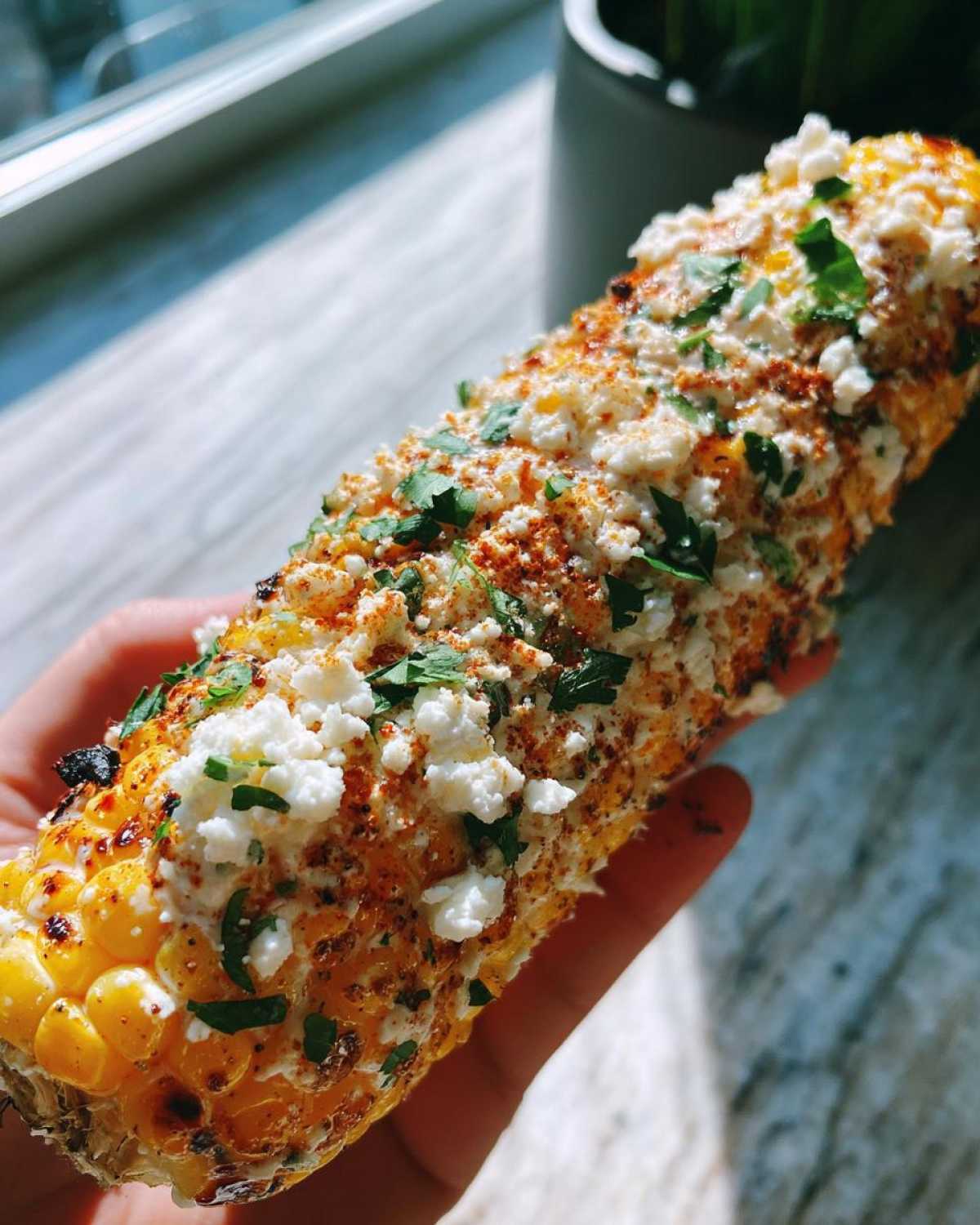 A hand holding a freshly prepared Mexican street corn cob, generously topped with cotija cheese, chili powder, and cilantro.
