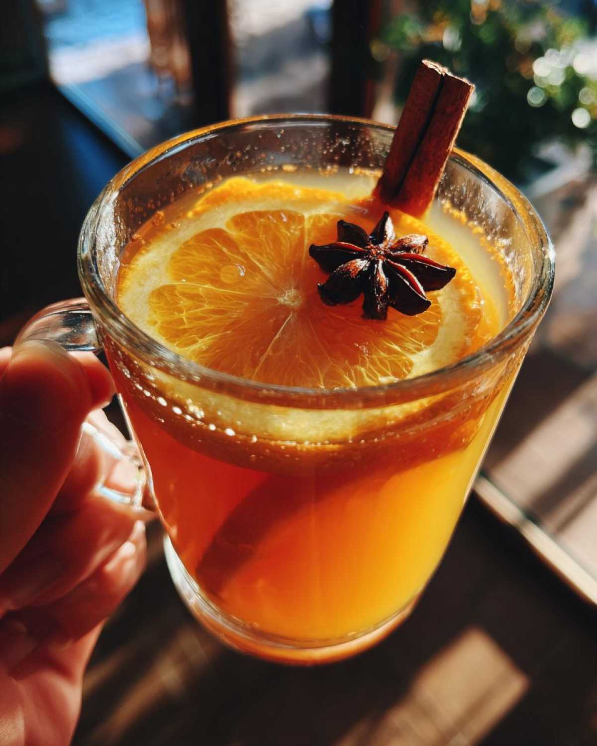 Cozy Mulled Apple Cider - detail 4