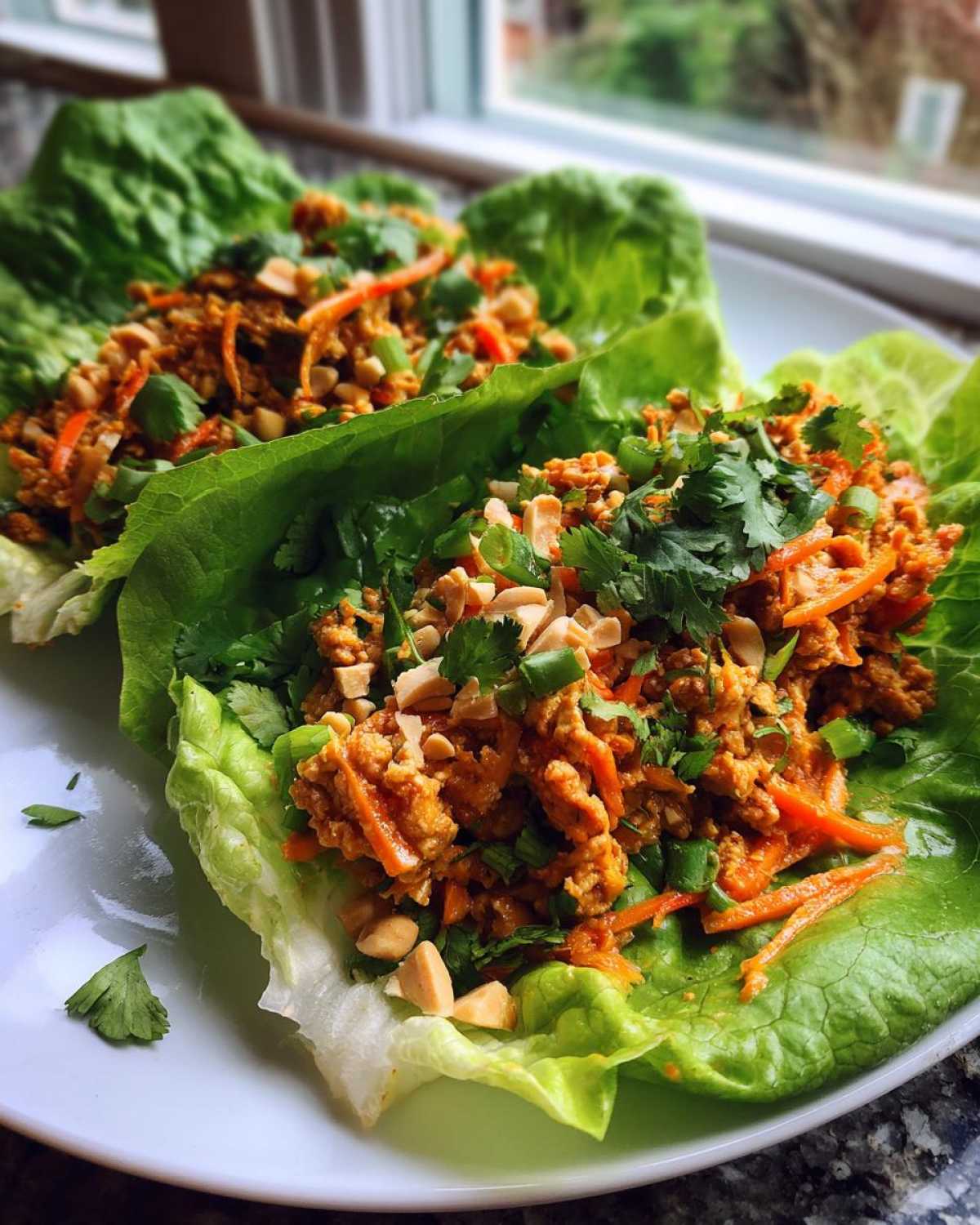 Tempeh Pad Thai Lettuce Wraps - detail 2