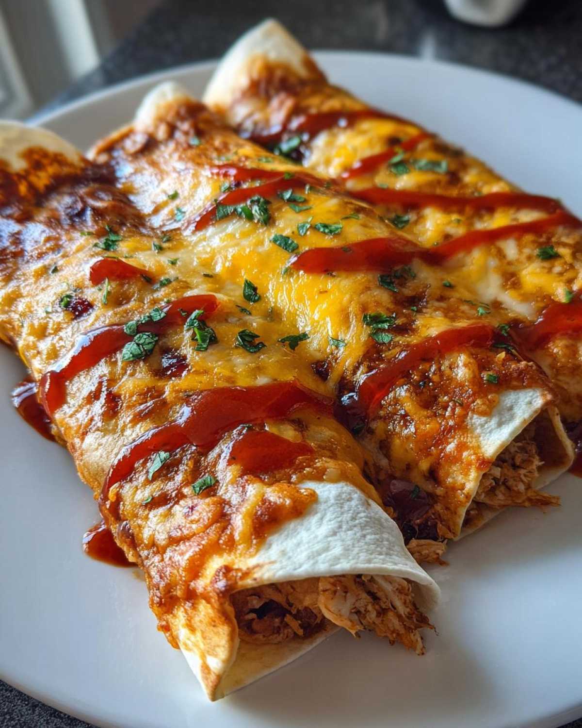 Turkey Cranberry Enchiladas - detail 1