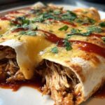 Turkey Cranberry Enchiladas