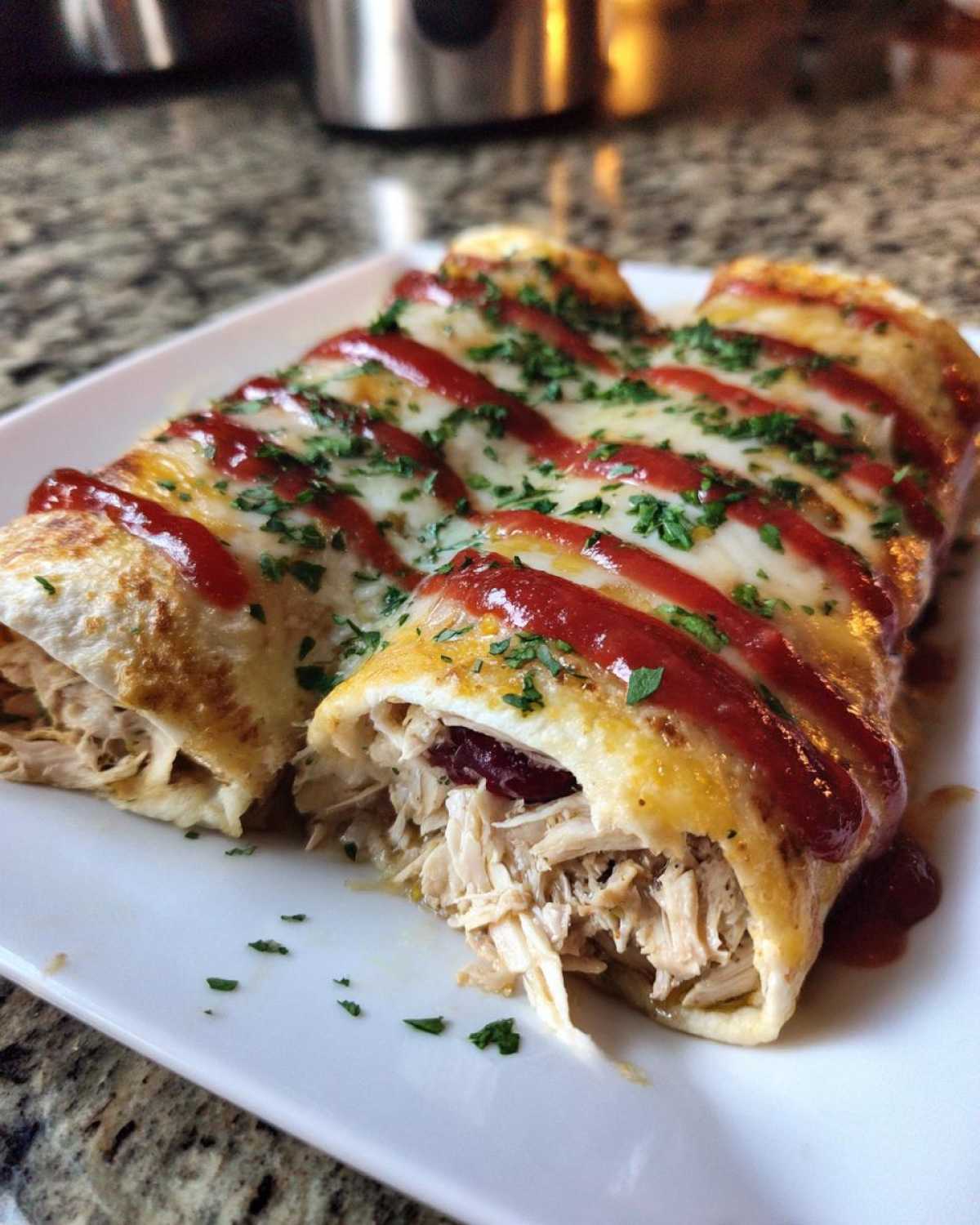 Turkey Cranberry Enchiladas - detail 2