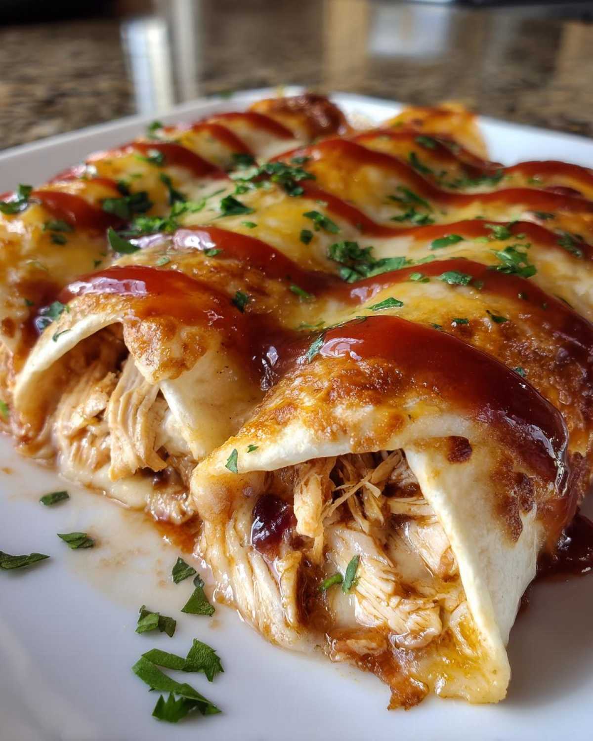 Turkey Cranberry Enchiladas - detail 4