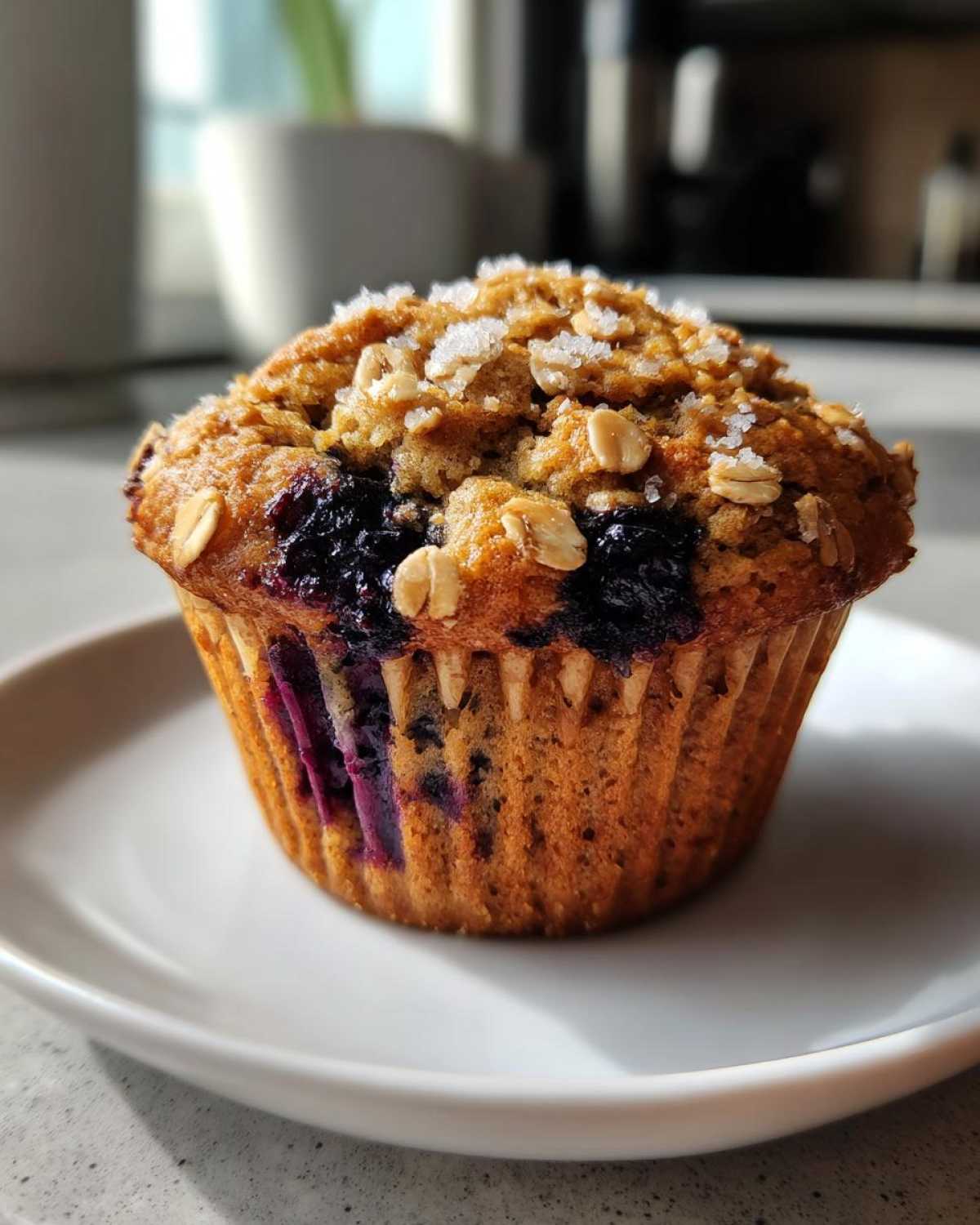 Blueberry Lemon Zucchini Muffins with Oats - detail 1