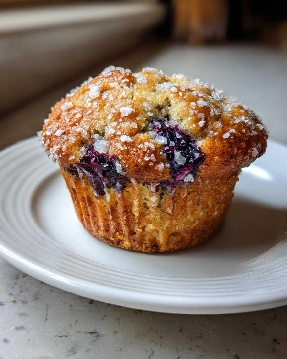 Blueberry Lemon Zucchini Muffins with Oats - detail 2