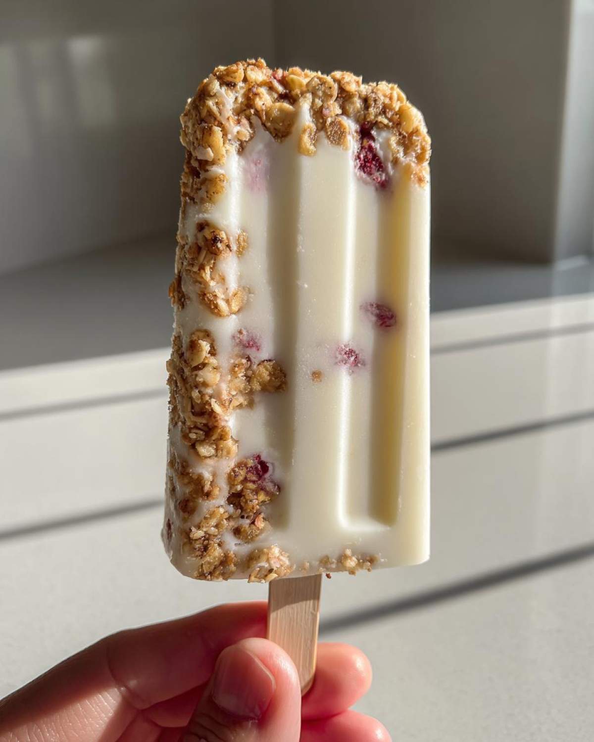 Yogurt Granola Popsicles (Breakfast on the Go) - detail 1