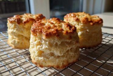 Three tall, fluffy scones with golden-brown, shiny tops cooling on a wire rack in bright sunlight.